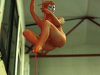 IMG 0048 : acrobat, creation, pieces