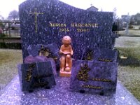 SP A0635 : cherubin, creation, pieces