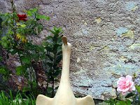 oie2 : animal, pieces
